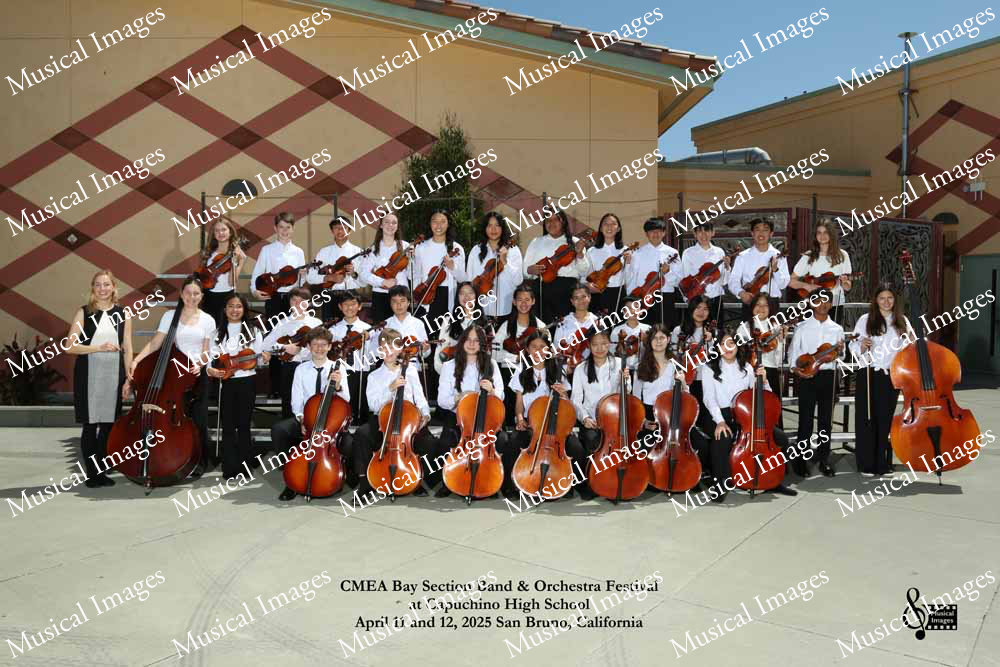 Musical Images